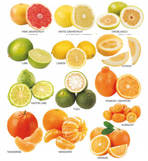 Kinds of citrus fruits